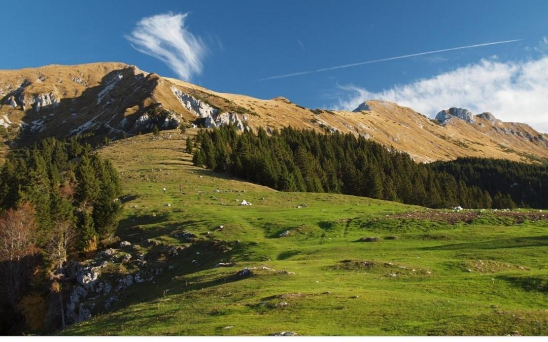 Apartma Jelendol Tržič Bagian luar foto