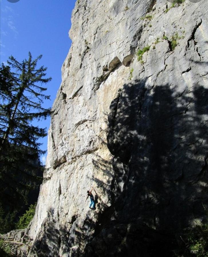 Apartma Jelendol Tržič Bagian luar foto