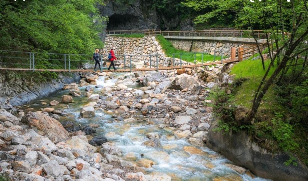 Apartma Jelendol Tržič Bagian luar foto