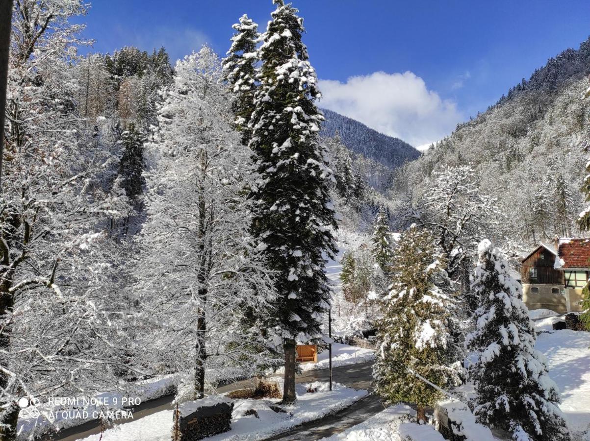 Apartma Jelendol Tržič Bagian luar foto